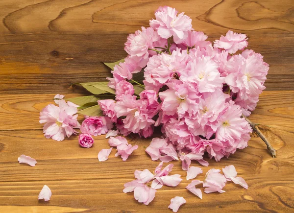 Card cu flori sakura primăvară — Fotografie, imagine de stoc