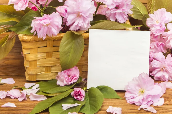  Sakura çiçekler bahar kartıyla