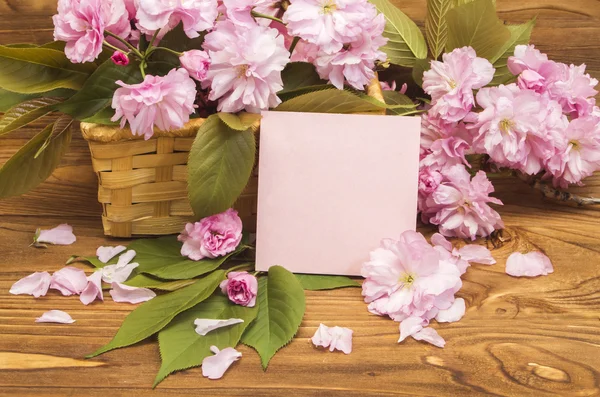 Card with sakura flowers spring — Stock Photo, Image