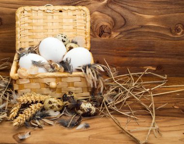Beyaz tavuk ve bıldırcın yumurtası sepet içinde