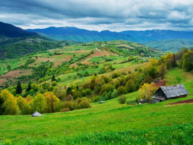 yeşil çayır ile kırsal bir kulübe eteklerinde.