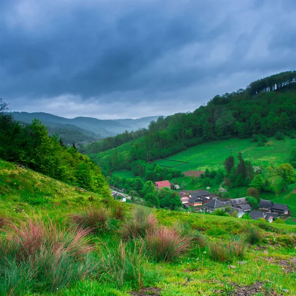 Vesnice na kopci louku s lesní — Stock fotografie