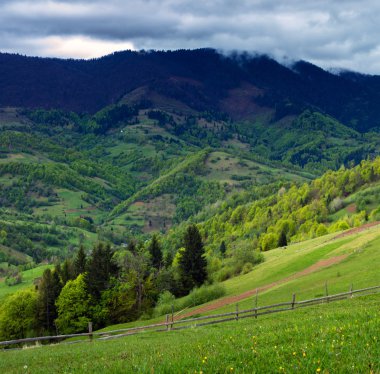 Orman ve dağ çayır.