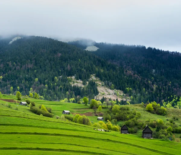Green meadow in mountain village. — Stock Photo, Image