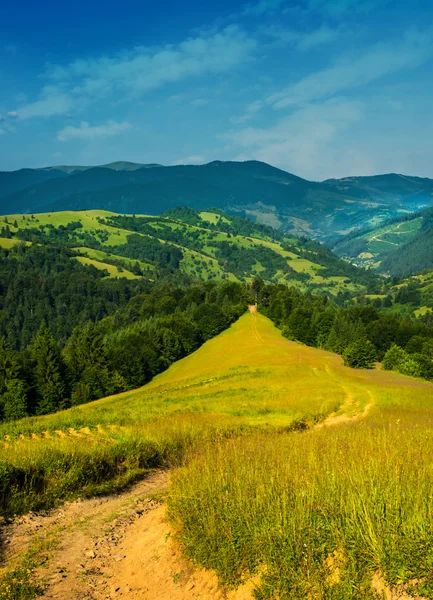 Green grass and a path into the forest in the mountains — Stock Photo, Image