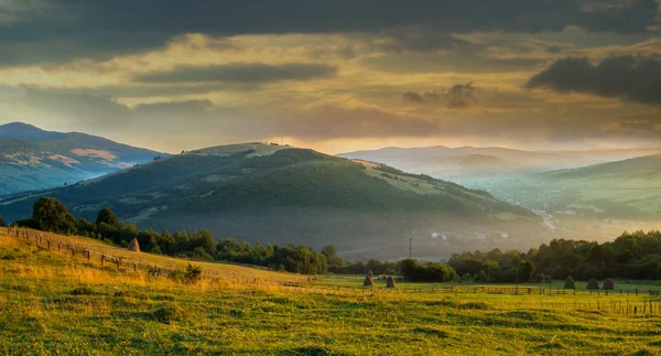 Wild plants and stack of hay at sunrise. — Stock Photo, Image