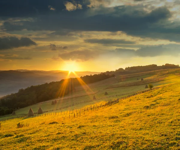 Plantas selvagens e pilha de feno ao pôr-do-sol — Fotografia de Stock