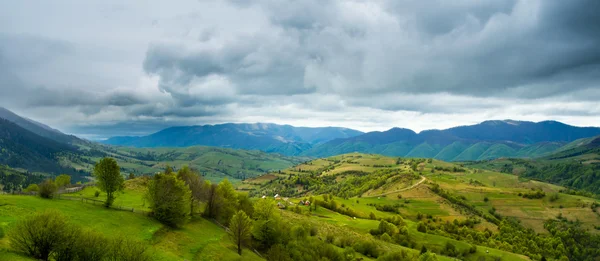 Campos verdes y colinas en las montañas de Transcarpathian —  Fotos de Stock