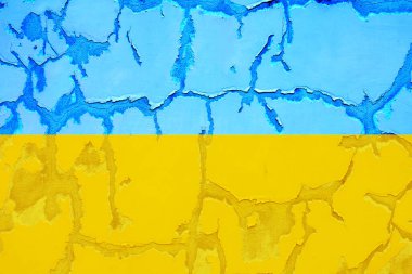 Ukrayna bayrağı. Eski alçı duvarın dokusu.
