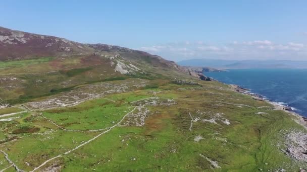 Légi felvétel a partvonalról Marmeelan és Falcorrib által Dungloe-tól délre, Donegal megye - Írország — Stock videók
