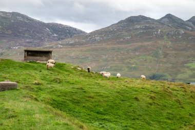 İrlanda 'nın Donegal ilçesinin kuzey kıyısındaki Lenan Head kalesinin kalıntıları..