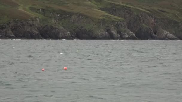 Buoys during rain storm at Lenan Bay in County Donegal, Ireland — Stock Video