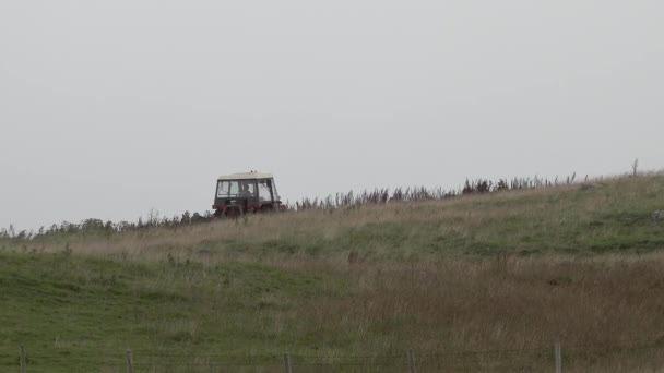 İrlanda 'nın Donegal ilçesindeki Lenan Head' de yağmur fırtınası sırasında traktör çalışıyor. — Stok video