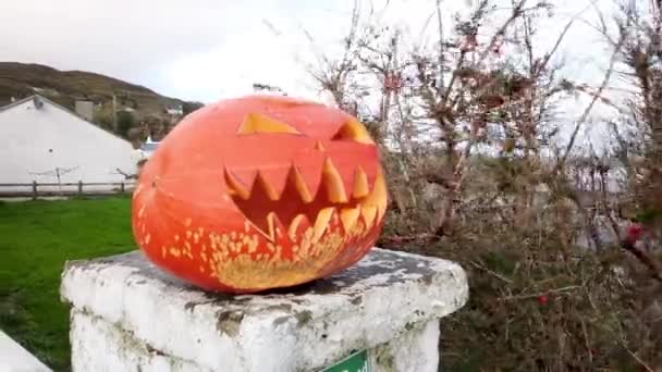 Halloween Sütőtök Donegal Megyében Írország — Stock videók