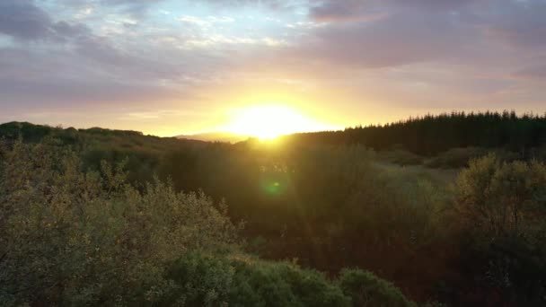Luchtfoto van een meer in een turf door Clooney, Portnoo - County Donegal, Ierland — Stockvideo