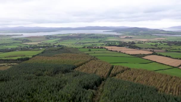 Vista real da área de Burt, em Donegal, entre o Castelo e a cruz da floresta celta - Condado de Donegal, Irlanda — Vídeo de Stock