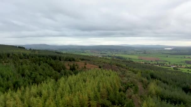 Areal view of the Burt area in Donegal between the Castle and the celtic forest cross - County Donegal, Ireland — Stock Video