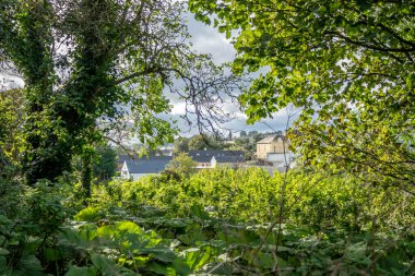 Raphoe, Donegal İlçesi 'ndeki şatodan İrlanda' ya geçerken görüldü.