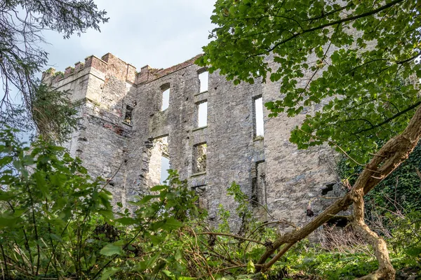 ドニゴール州のラホー城の遺跡-アイルランド — ストック写真
