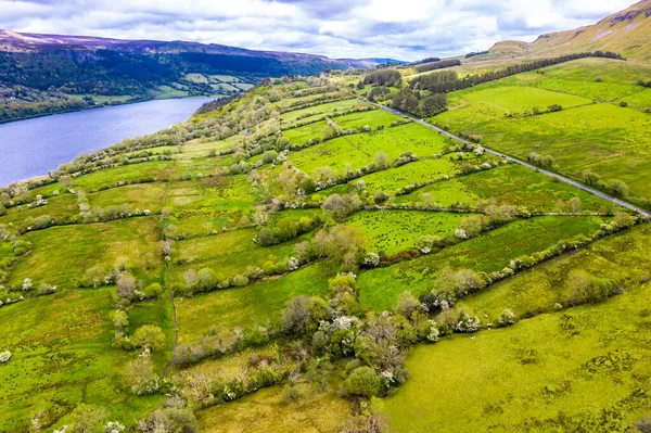 Flygfoto över fält bredvid Glencar Lough i Irland — Stockfoto