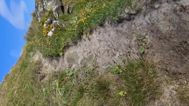 A bela costa de Magheramore na baía de Kiltoorish em Donegal - Irlanda — Vídeo de Stock