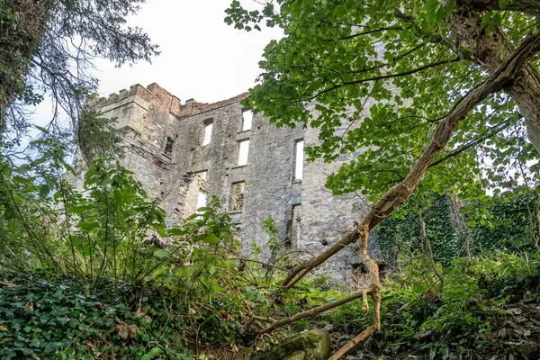 Restos do castelo de Raphoe no condado de Donegal - Irlanda — Fotografia de Stock