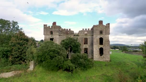I corvi del castello di Raphoe nella contea di Donegal - Irlanda — Video Stock