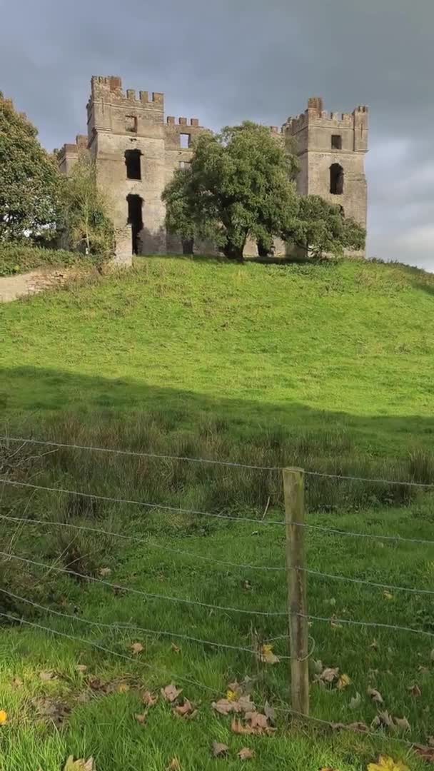 Donegal-Ireland县Raphoe城堡的遗迹 — 图库视频影像