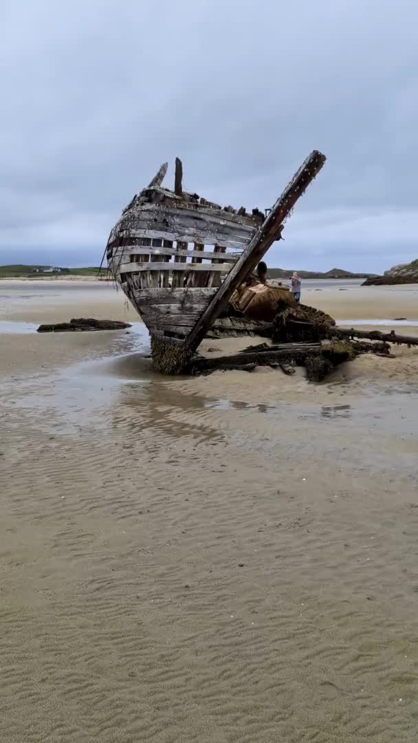 Bunbeg, Ierland - 09 november 2021: Bad Eddie ligt nog steeds op het strand — Stockvideo