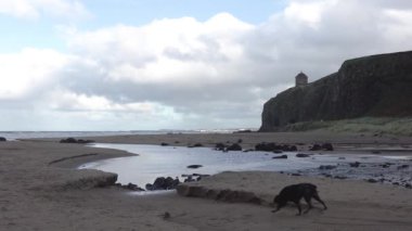 Kuzey İrlanda 'nın Londonderry ilçesindeki Downhill plajından Mussenden Tapınağı görüldü.