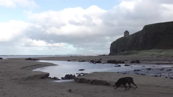 北アイルランドの郡ロンドンデリーのダウンヒルビーチから見たムッセンデン寺院 — ストック動画
