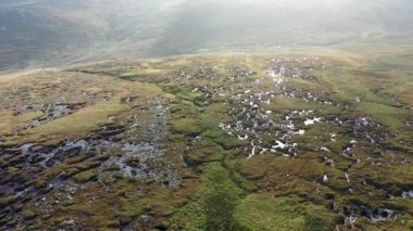 County Donegal, İrlanda 'daki Derryveagh' daki güzel Farscallop Dağı.