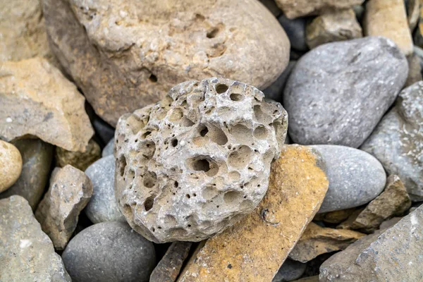 Stones with rock erosion holes at beach in Ireland — Stock Photo, Image