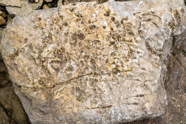 Πέτρες με τρύπες διάβρωσης βράχων στην παραλία της Ιρλανδίας — Φωτογραφία Αρχείου