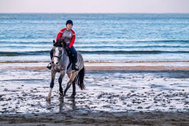 BURTONPORT, COUNTY DONEGAL, IRELAND - 18 Aralık 2021 Koğuş ailesi sahilde atlarına biniyor.