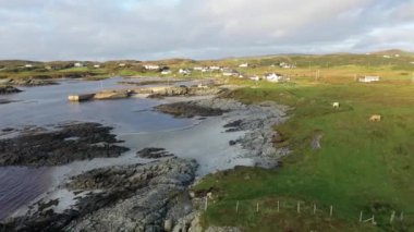 Donegal ilçesindeki Rossbeg limanındaki güzel Atlantik kıyısı - İrlanda