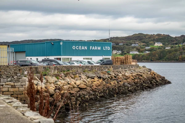 Killybegs, Irlanda - Obtober 13 2021: Ocean farm Limited está a produzir no porto — Fotografia de Stock