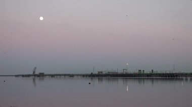 İrlanda 'da aya uçan kuşların zamanı..