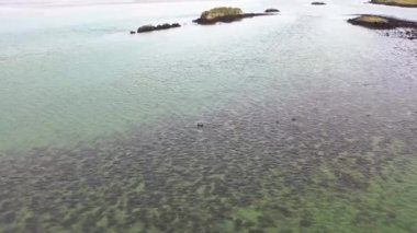 Gweebarra Körfezi 'nde fok balığı yüzme ve dalışı - County Donegal, İrlanda