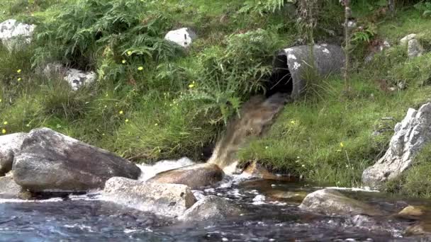 Les eaux usées sales qui coulent du tuyau dans la rivière — Video