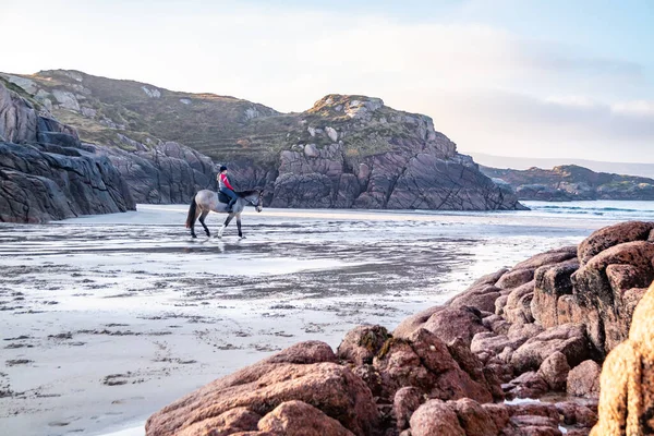 Ιππασία στον κόλπο και την παραλία Cloughglass από Burtonport στο County Donegal - Ιρλανδία — Φωτογραφία Αρχείου
