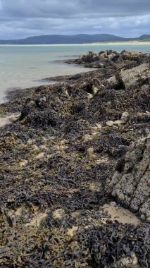 Ballinareava Strand Donegal 'de Ardara ile Portnoo arasındaki Sheskinmore Doğa Koruma Alanı' nda..