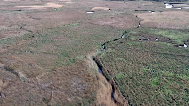 アイルランド共和国ドニゴール州のGlencolumbkileのBeefan Townlandの空中ビュー — ストック動画