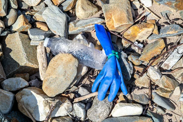 Голубая медицинская перчатка лежит на брусчатке пляжа в Ирландии — стоковое фото
