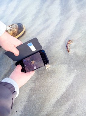 Kumsalda akıllı bir telefonla bebek denizyıldızının fotoğrafını çeken bir adam.