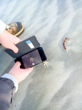 Kumsalda akıllı bir telefonla bebek denizyıldızının fotoğrafını çeken bir adam.