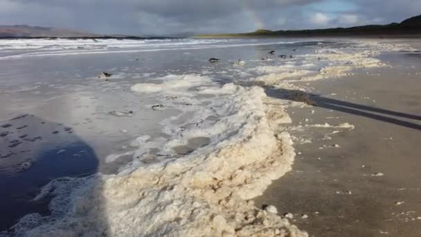 Παχύς αφρός θάλασσας στην αμμώδη ακτή της κομητείας Donegal - Ιρλανδία — Αρχείο Βίντεο