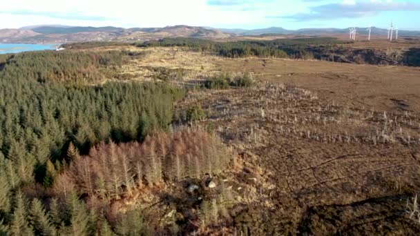 Aerial view of forest that has been burning in a wildfire a few years ago — Stock Video