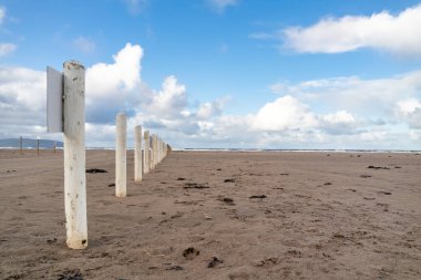 Burası Kuzey İrlanda 'daki Downhill Sahili.