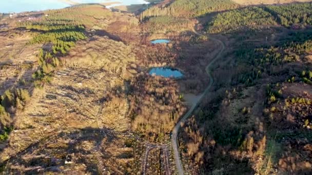 森林再生はドニゴール州のBonny Glenで続いています-アイルランド. — ストック動画